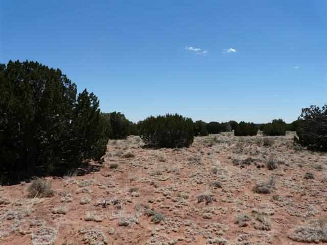 Ccr Unit 3 Ccr Heber, AZ 85928 - Photo 3 of 7