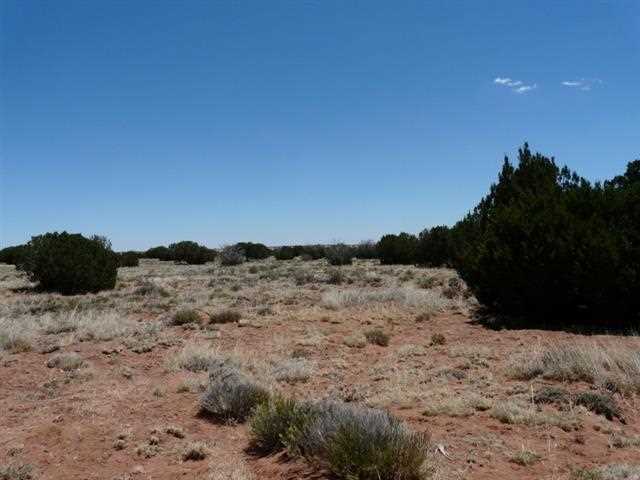 Ccr Unit 3 Ccr Heber, AZ 85928 - Photo 4 of 7