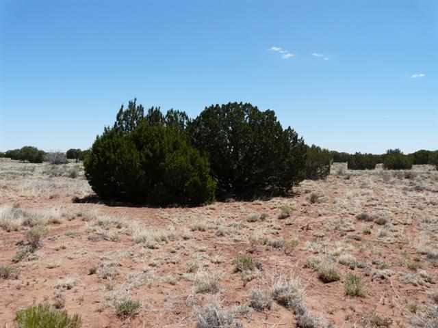 Ccr Unit 3 Ccr Heber, AZ 85928 - Photo 5 of 7