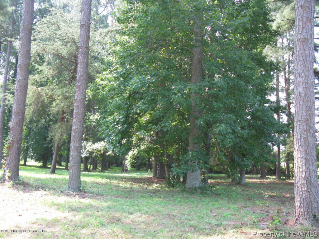 2381 Forge Road Toano, VA 23168 - Photo 3 of 4 Gallery Image 3
