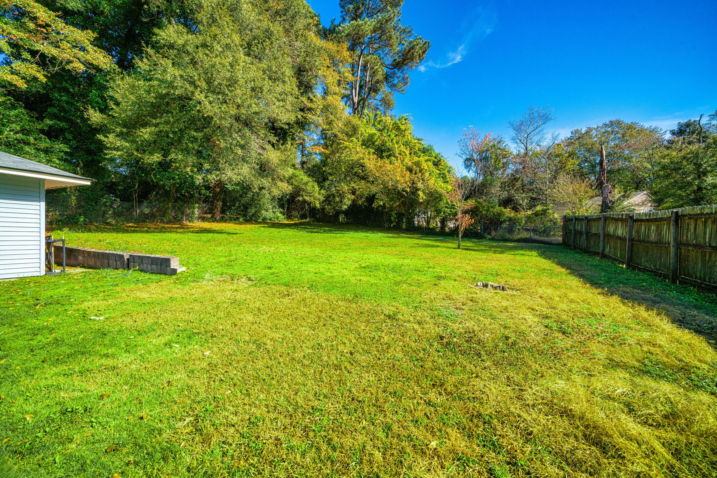 2836 Cornelia Road Augusta, GA 30906 - Photo 24 of 25 back yard from house