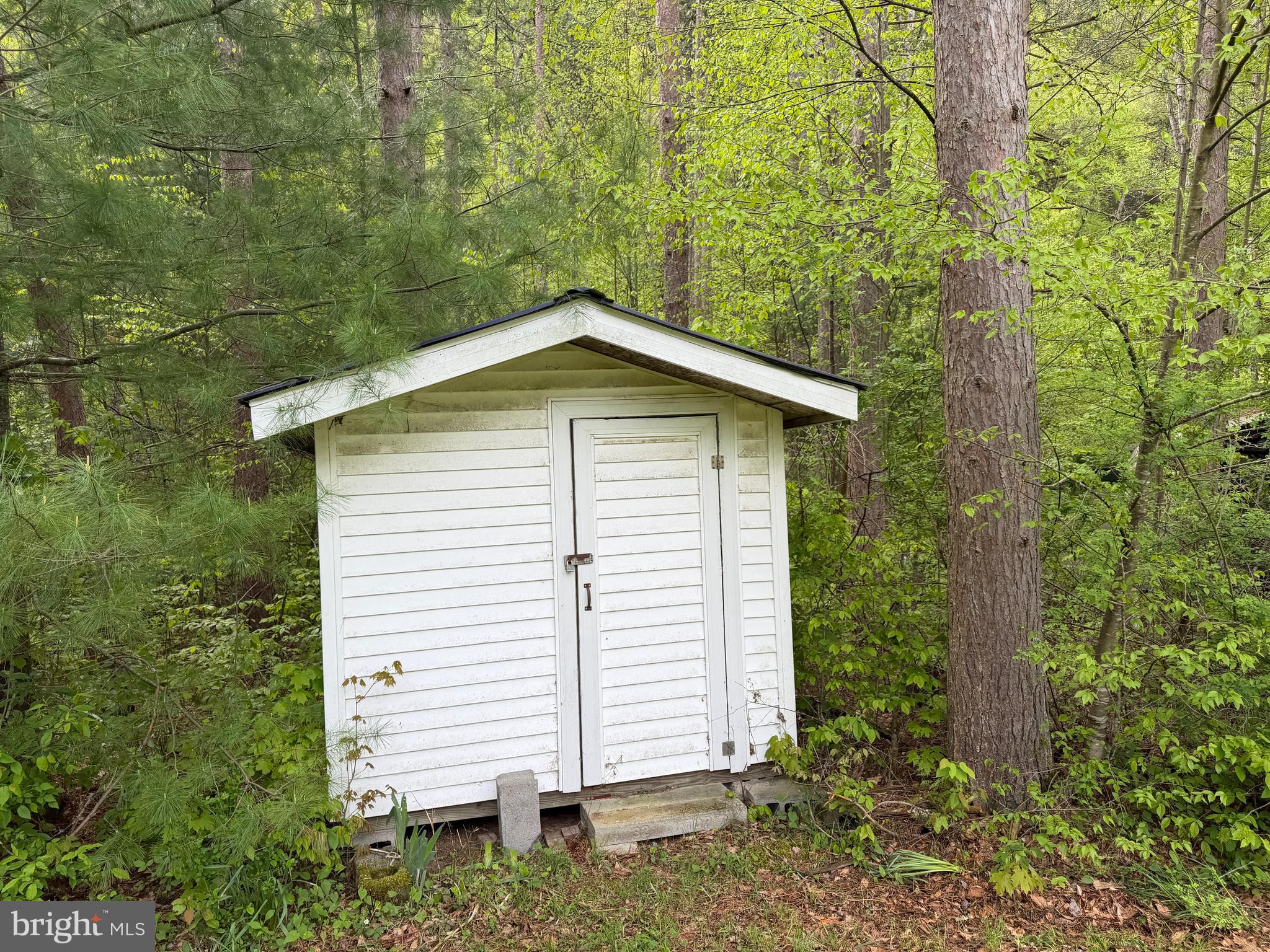 1227 Cross Fork Creek Road Cross Fork, PA 17729 - Photo 62 of 139