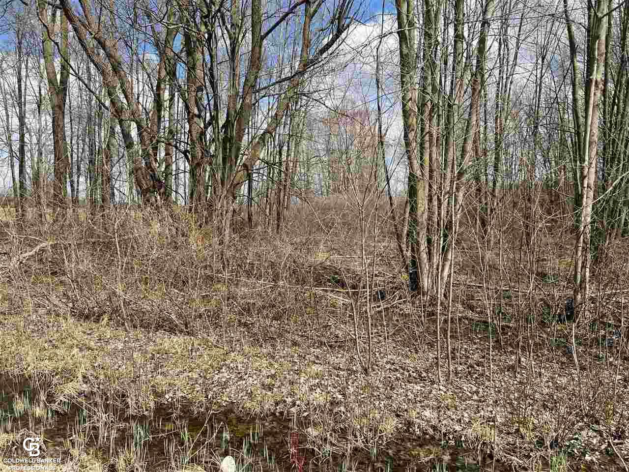 1 Gleason Road Emmett, MI 48022 - Photo 4 of 5