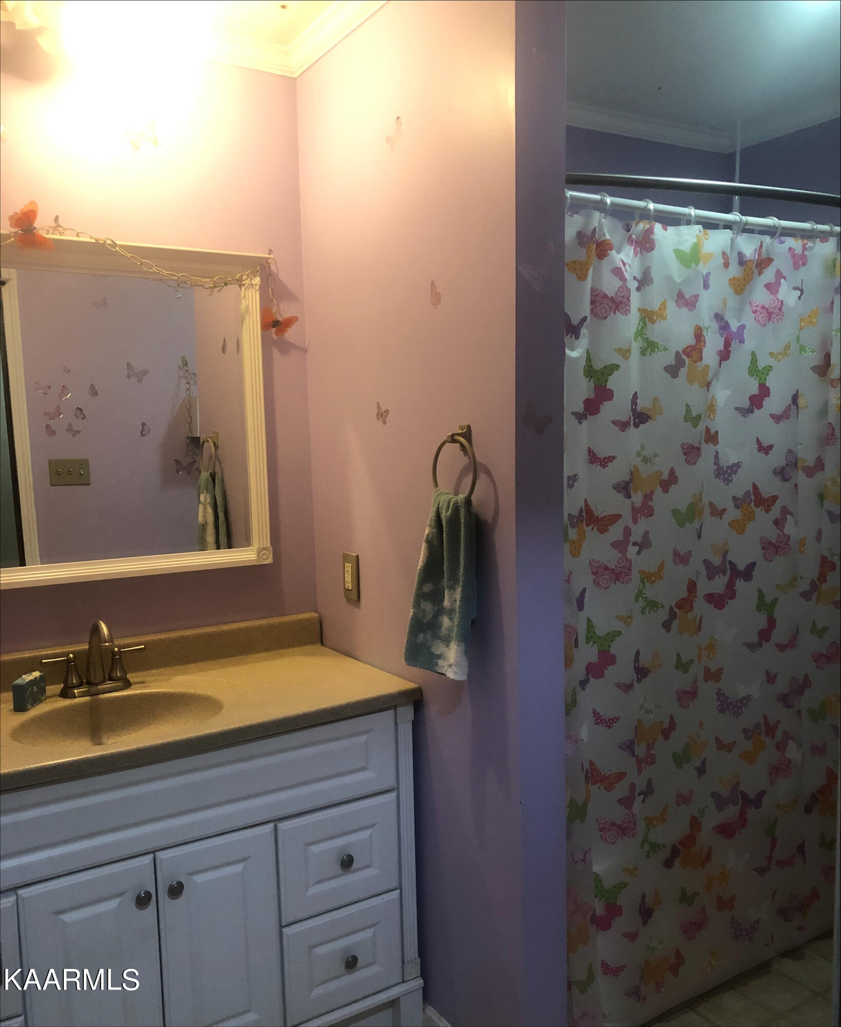 200 Brooksview Road Lenoir City, TN 37772 - Photo 20 of 25 Bathroom