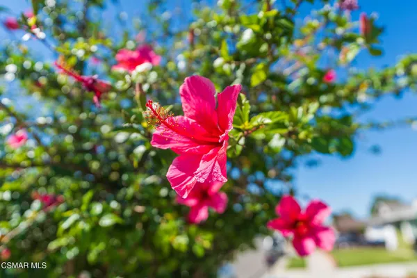 $869,900 | 2517 Phyllis Street, Simi Valley, CA 93065