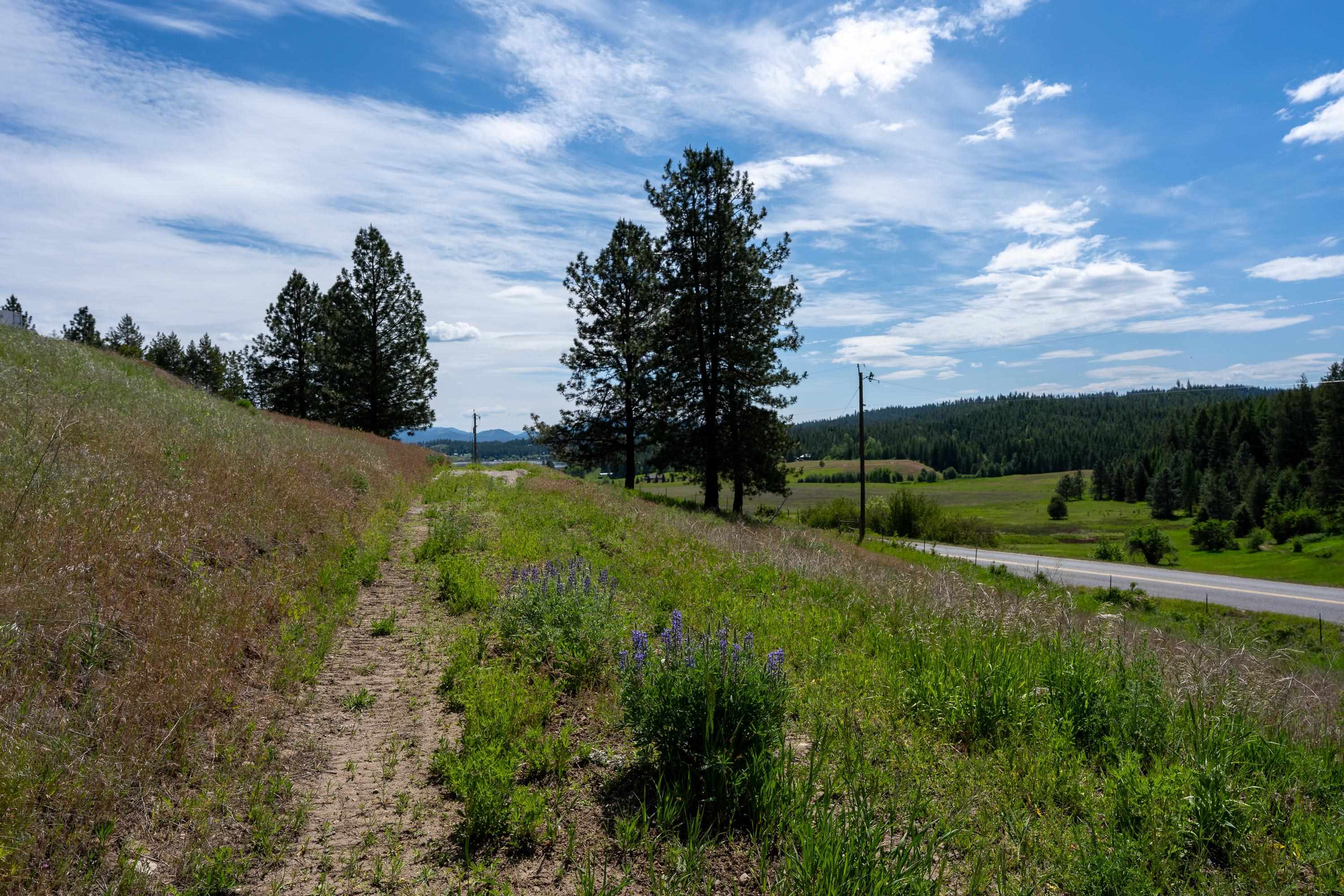 3474 D Waitts Lake Road Valley, WA 99181 - Photo 38 of 45