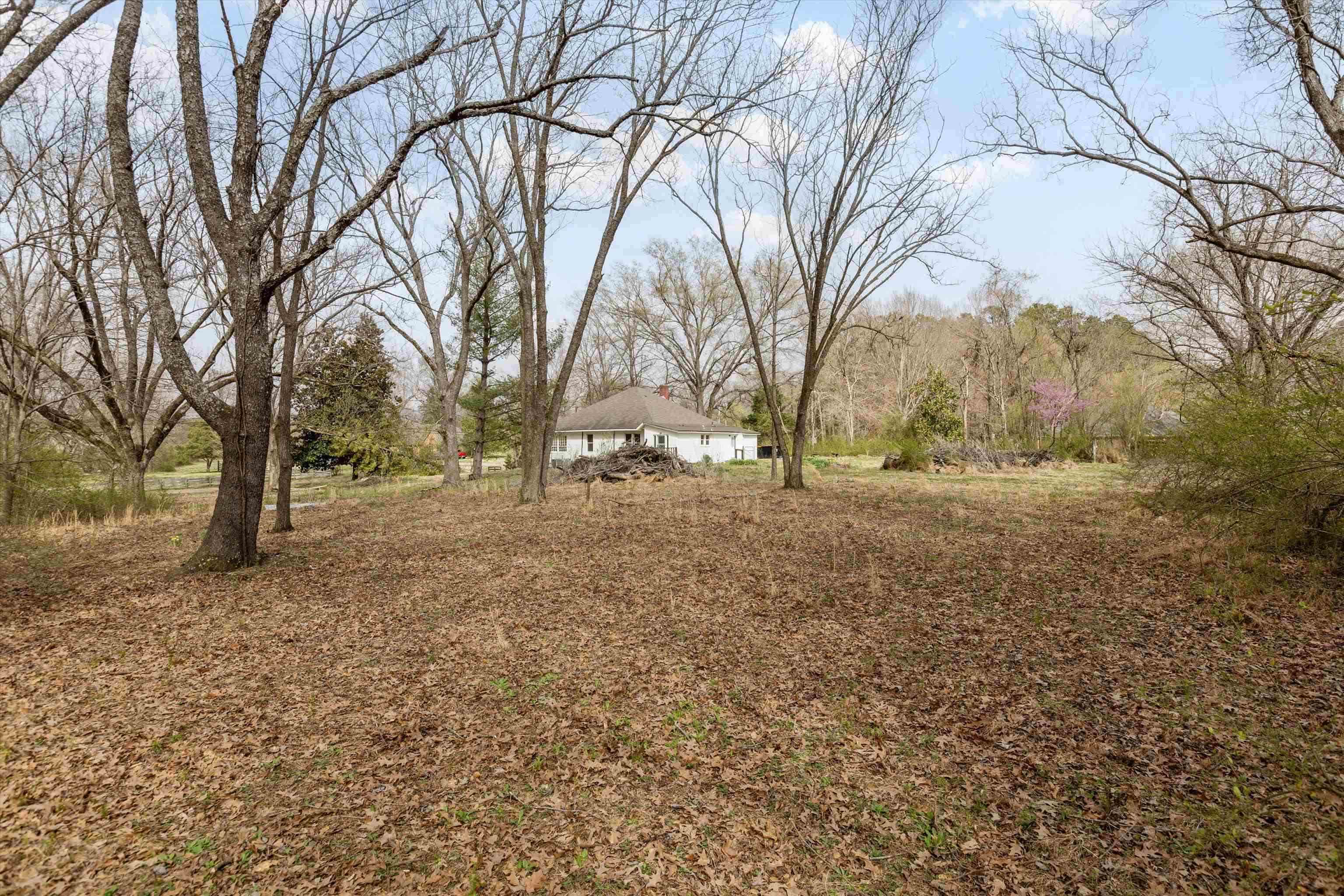 8457 East Kerrville Rosemark Road Millington, TN 38053 - Photo 29 of 32 View of yard
