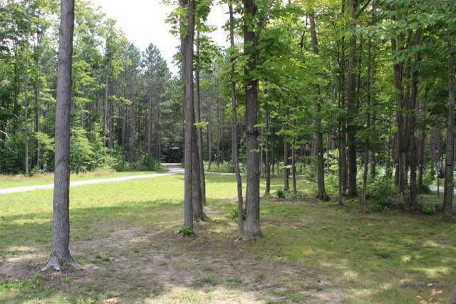11530 Hartwick Road Frederic, MI 49733 - Photo 46 of 49 Gallery Image 46