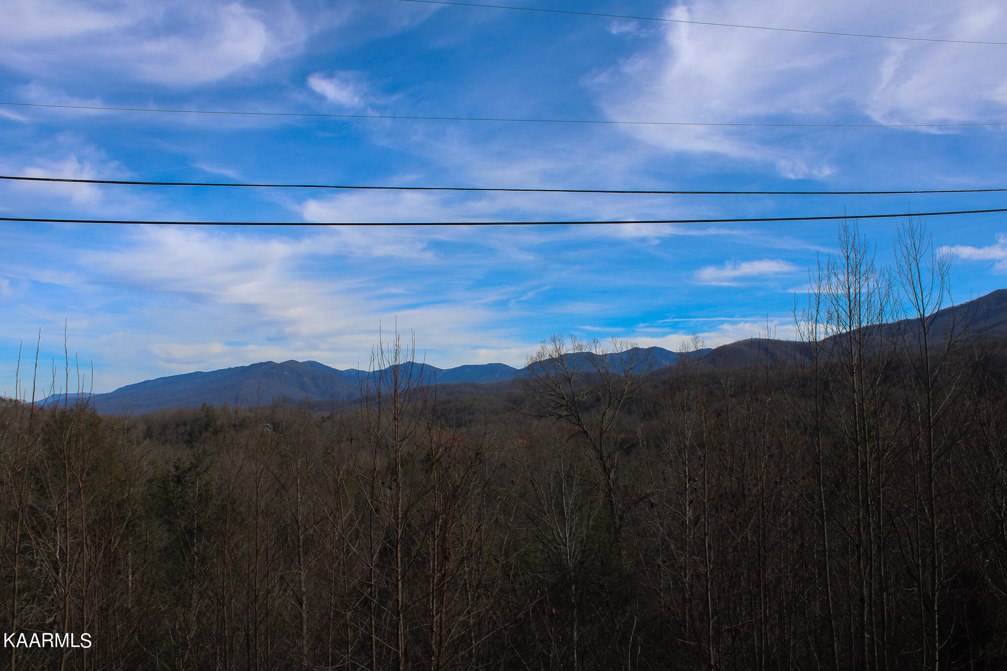 Crest Road Gatlinburg, TN 37738 - Photo 11 of 31 IMG_2335