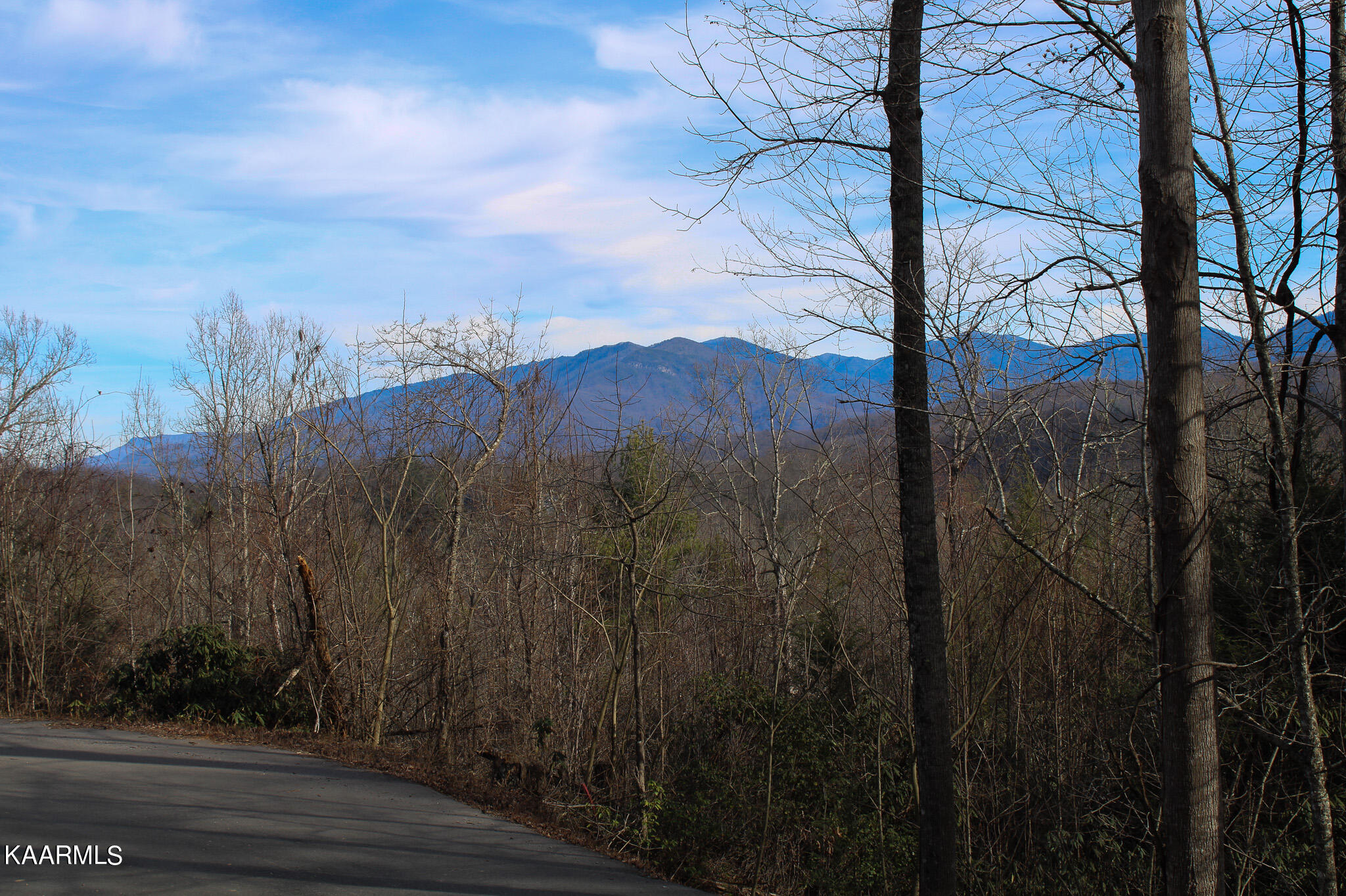 Crest Road Gatlinburg, TN 37738 - Photo 14 of 31 IMG_2340