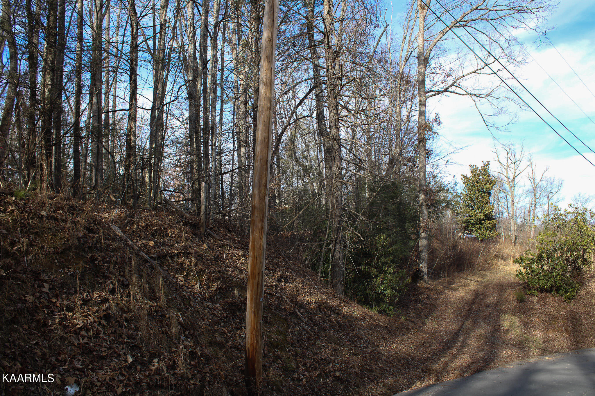 Crest Road Gatlinburg, TN 37738 - Photo 22 of 31 IMG_2354