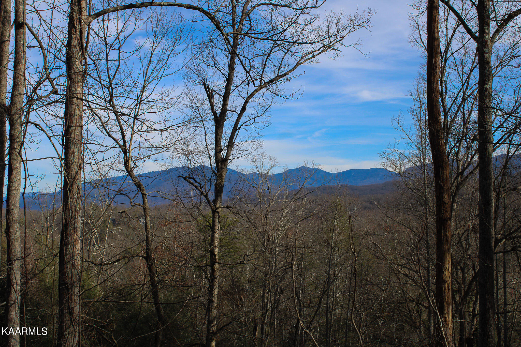 Crest Road Gatlinburg, TN 37738 - Photo 25 of 31 IMG_2357