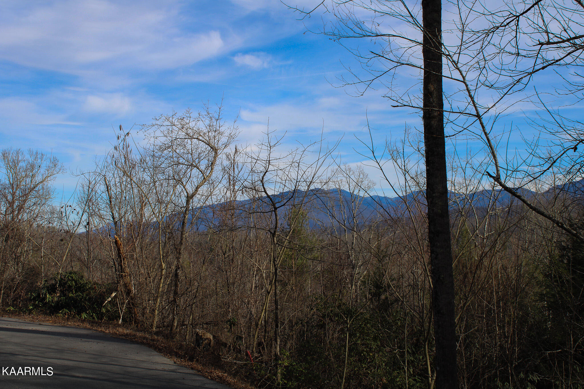 Crest Road Gatlinburg, TN 37738 - Photo 26 of 31 IMG_2358