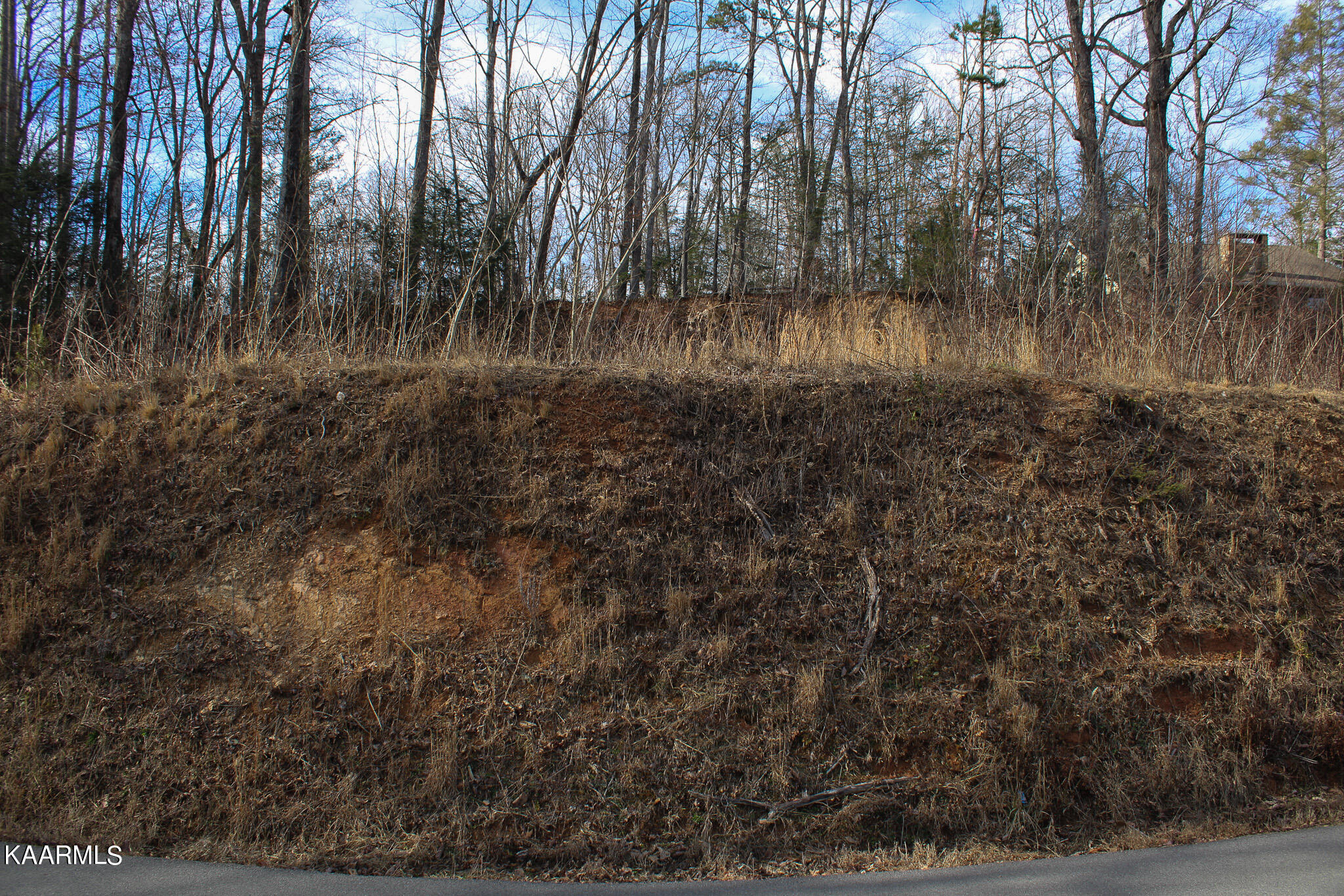 Crest Road Gatlinburg, TN 37738 - Photo 28 of 31 IMG_2360