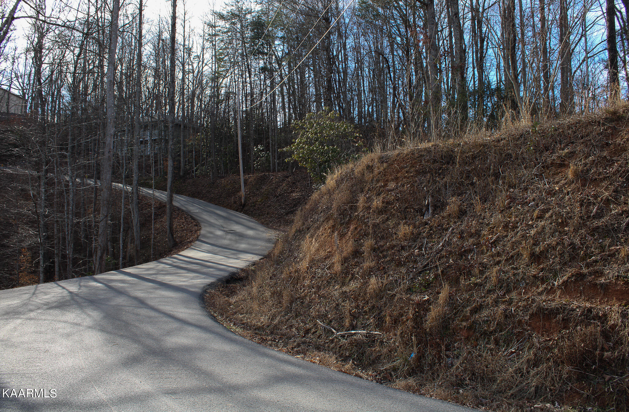 Crest Road Gatlinburg, TN 37738 - Photo 29 of 31 IMG_2362