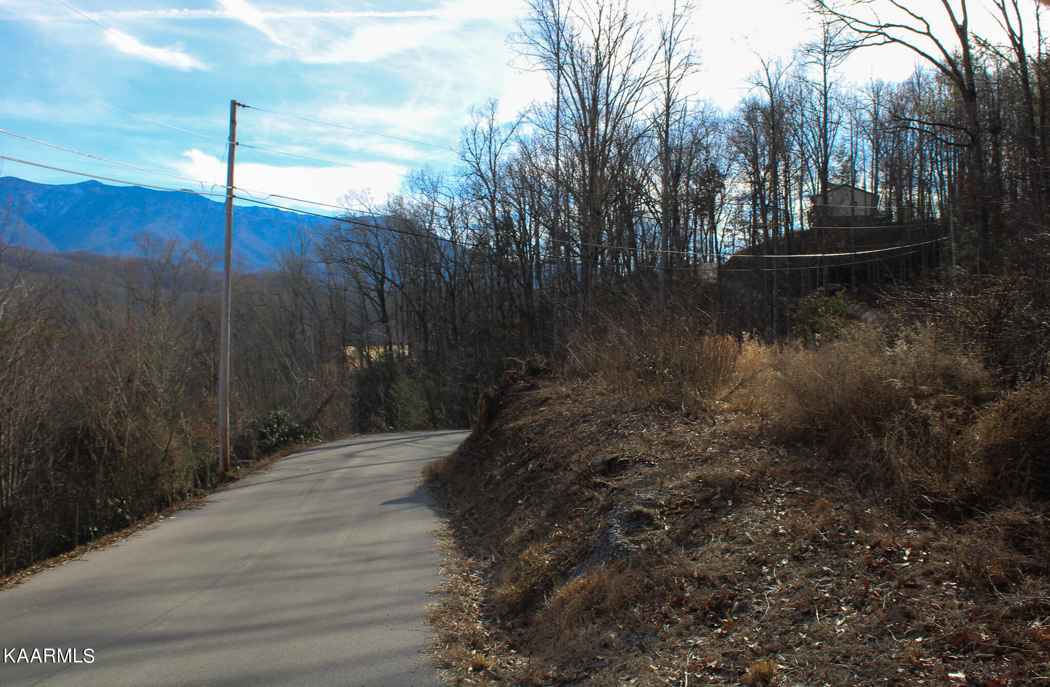 Crest Road Gatlinburg, TN 37738 - Photo 31 of 31 IMG_2367