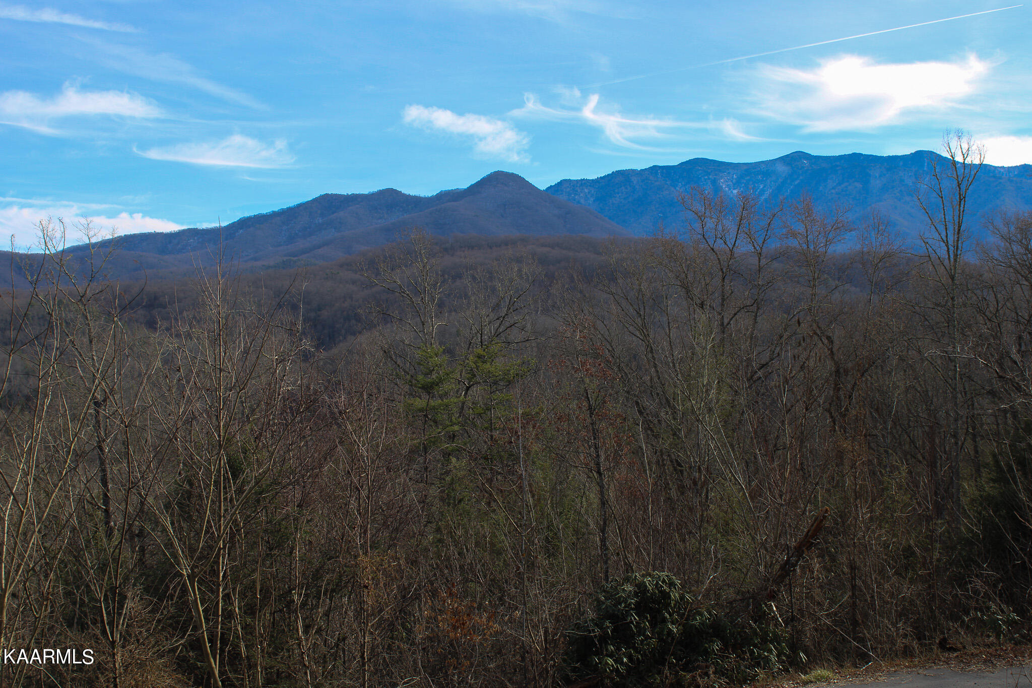 Crest Road Gatlinburg, TN 37738 - Photo 8 of 31 IMG_2327
