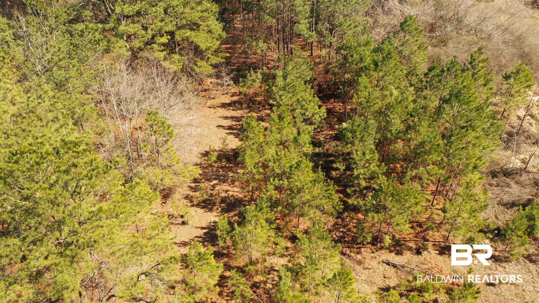 1 Moran Street Bay Minette, AL 36507 - Photo 6 of 18