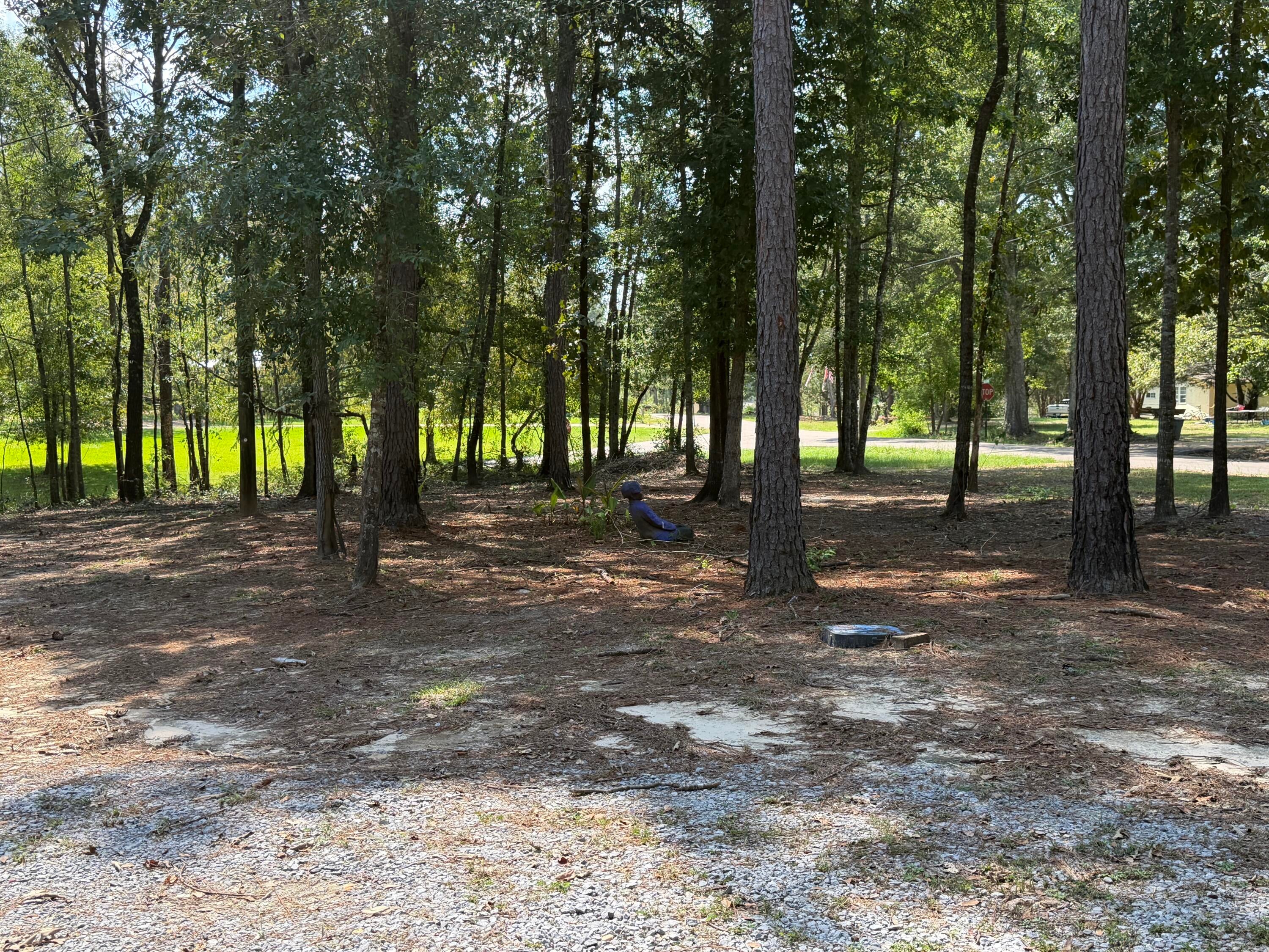 260 A J Bond Road Columbia, MS 39429 - Photo 26 of 29 Gallery Image 26