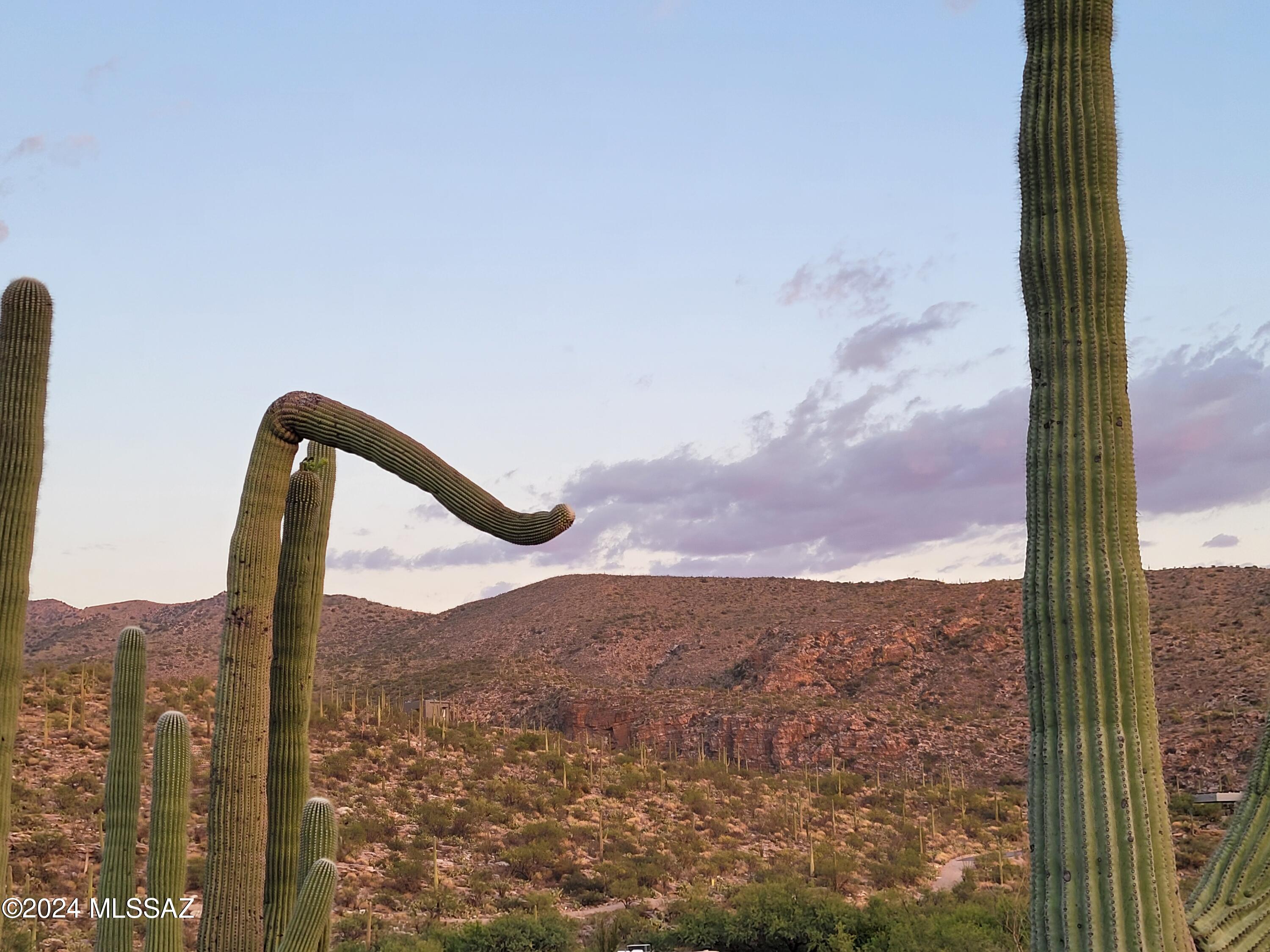 Tbd North Wentworth Road Tucson, AZ 85749 - Photo 15 of 18 Gallery Image 15