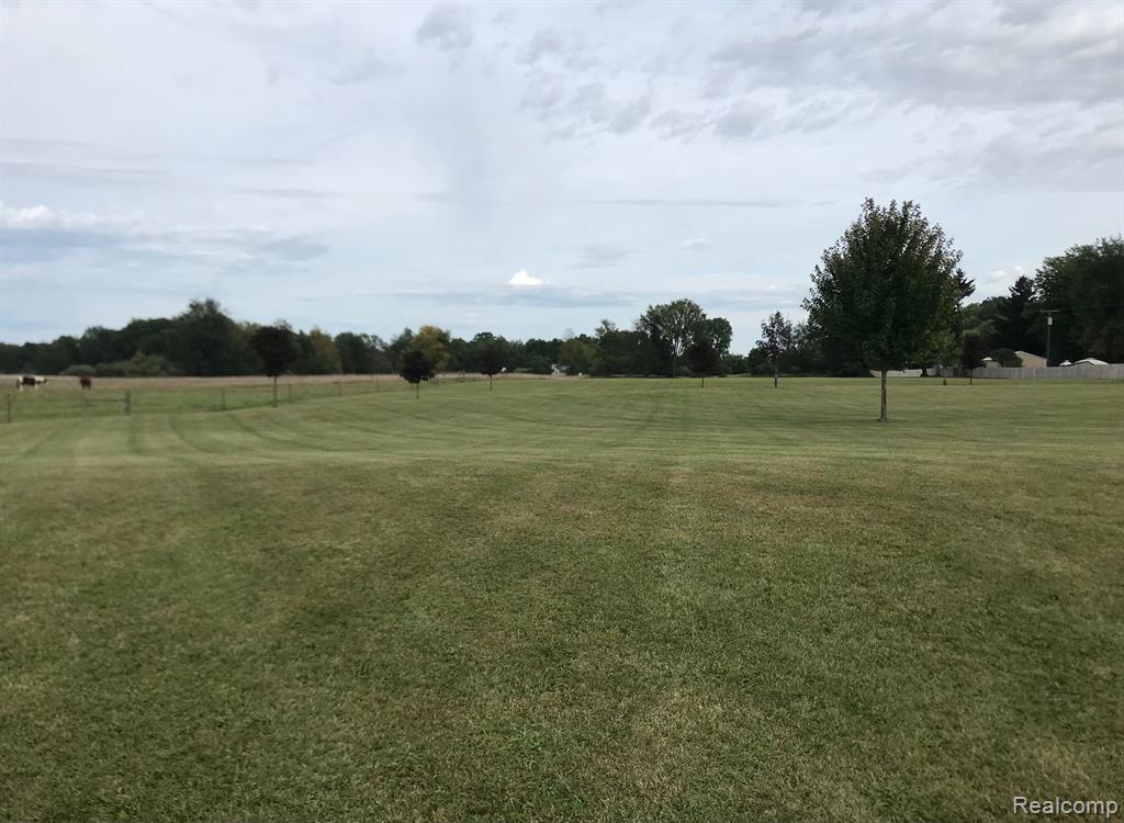 3 Hinchey Road Pinckney, MI 48169 - Photo 10 of 16