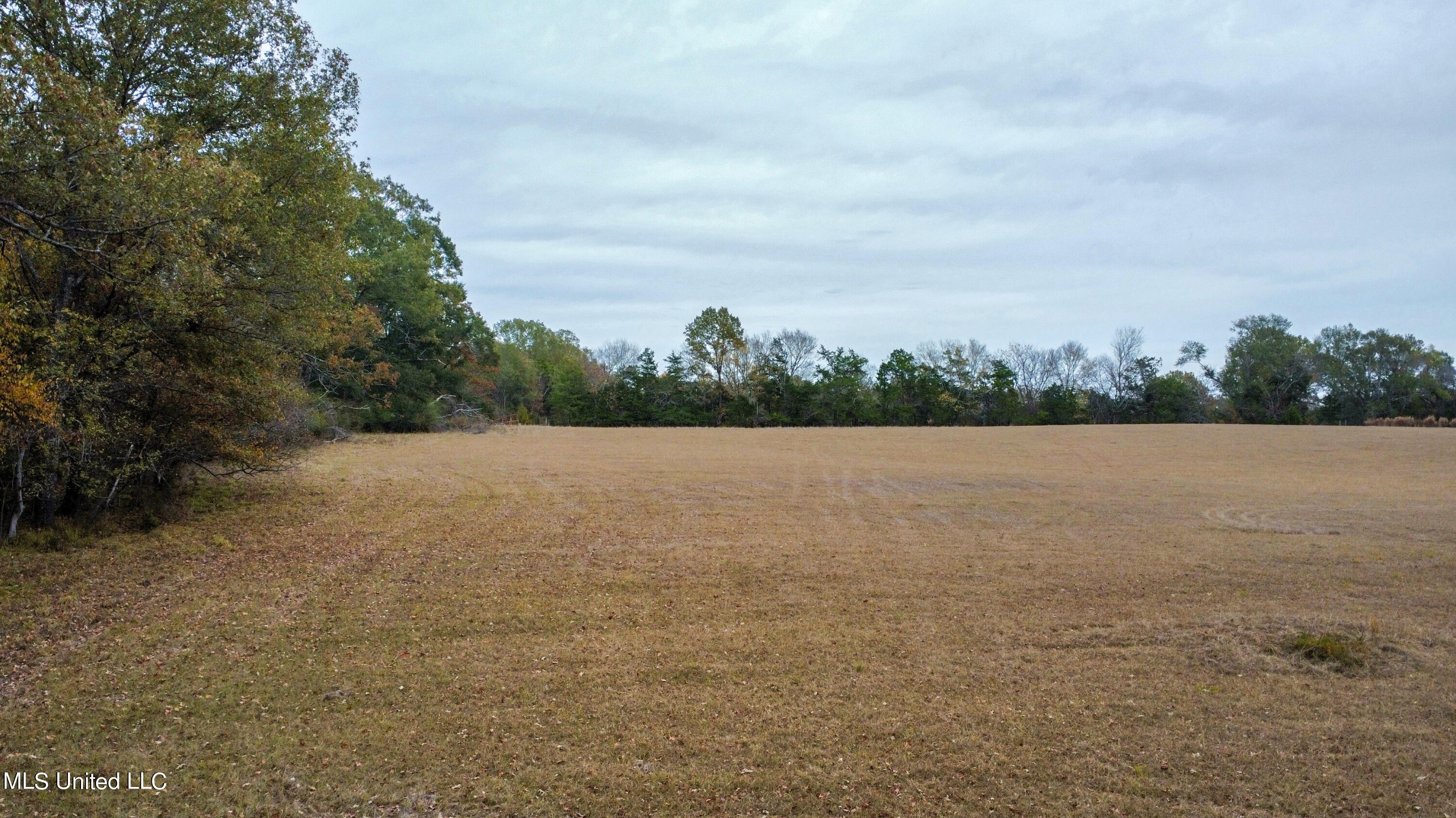 5340 Clinton-Tinnin Road Jackson, MS 39209 - Photo 1 of 7 dji_fly_20231113_162824_15_1699914531392