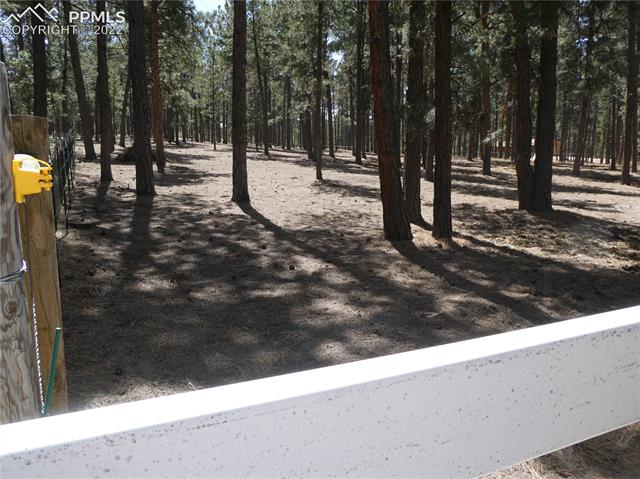 9185 Morgan Road Colorado Springs, CO 80908 - Photo 11 of 23 Back fence/cross fence.