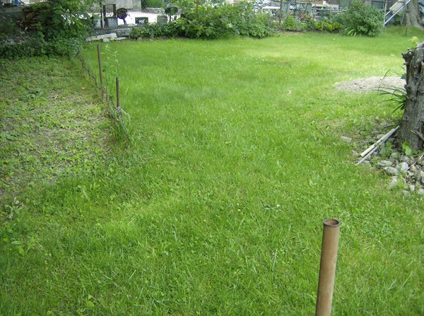 99 Ruthven Street Boston, MA 02121 - Photo 11 of 30 Gallery Image 11