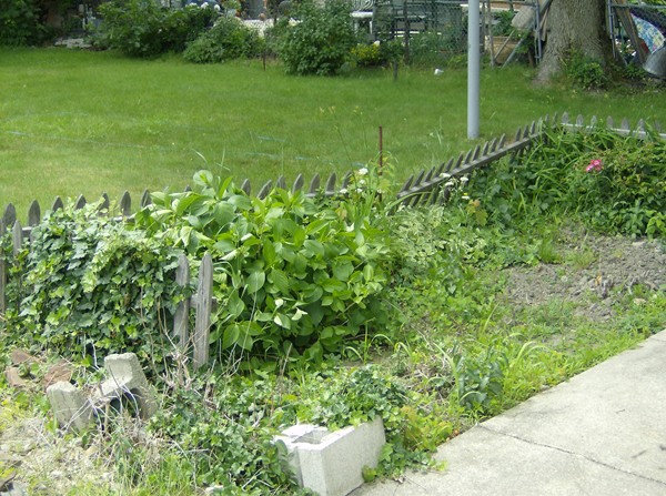 99 Ruthven Street Boston, MA 02121 - Photo 16 of 30 Gallery Image 16