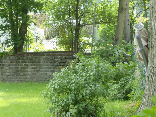 99 Ruthven Street Boston, MA 02121 - Photo 21 of 30 Gallery Image 21