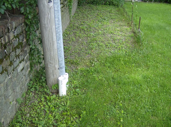 99 Ruthven Street Boston, MA 02121 - Photo 10 of 30 Gallery Image 10