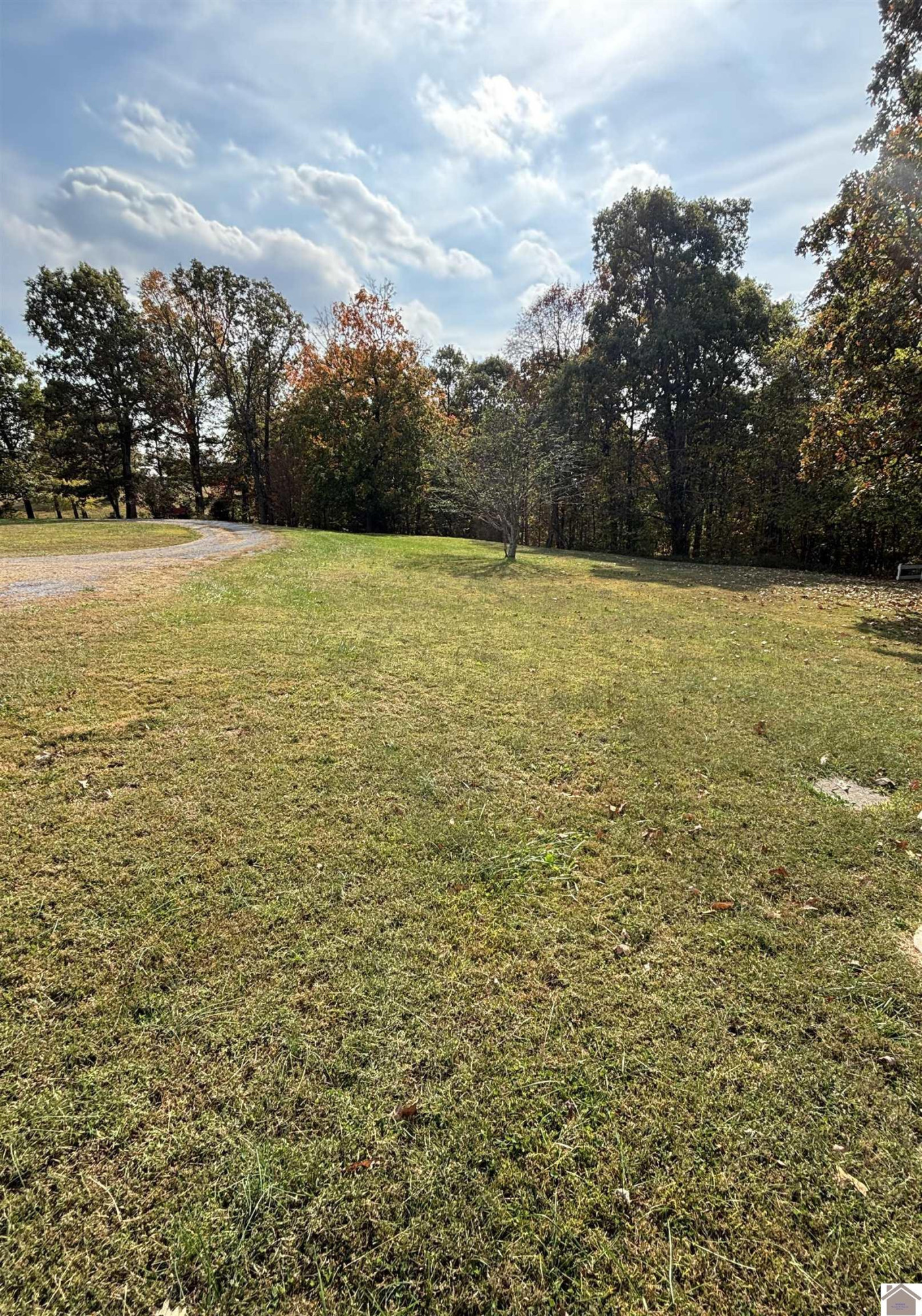 254 A H Clements Road Marion, KY 42064 - Photo 28 of 31 Back Yard