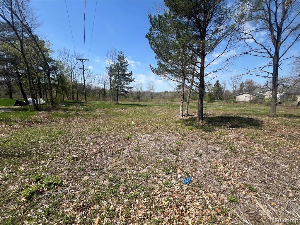 0 North Latson Road Howell, MI 48843 - Photo 4 of 6