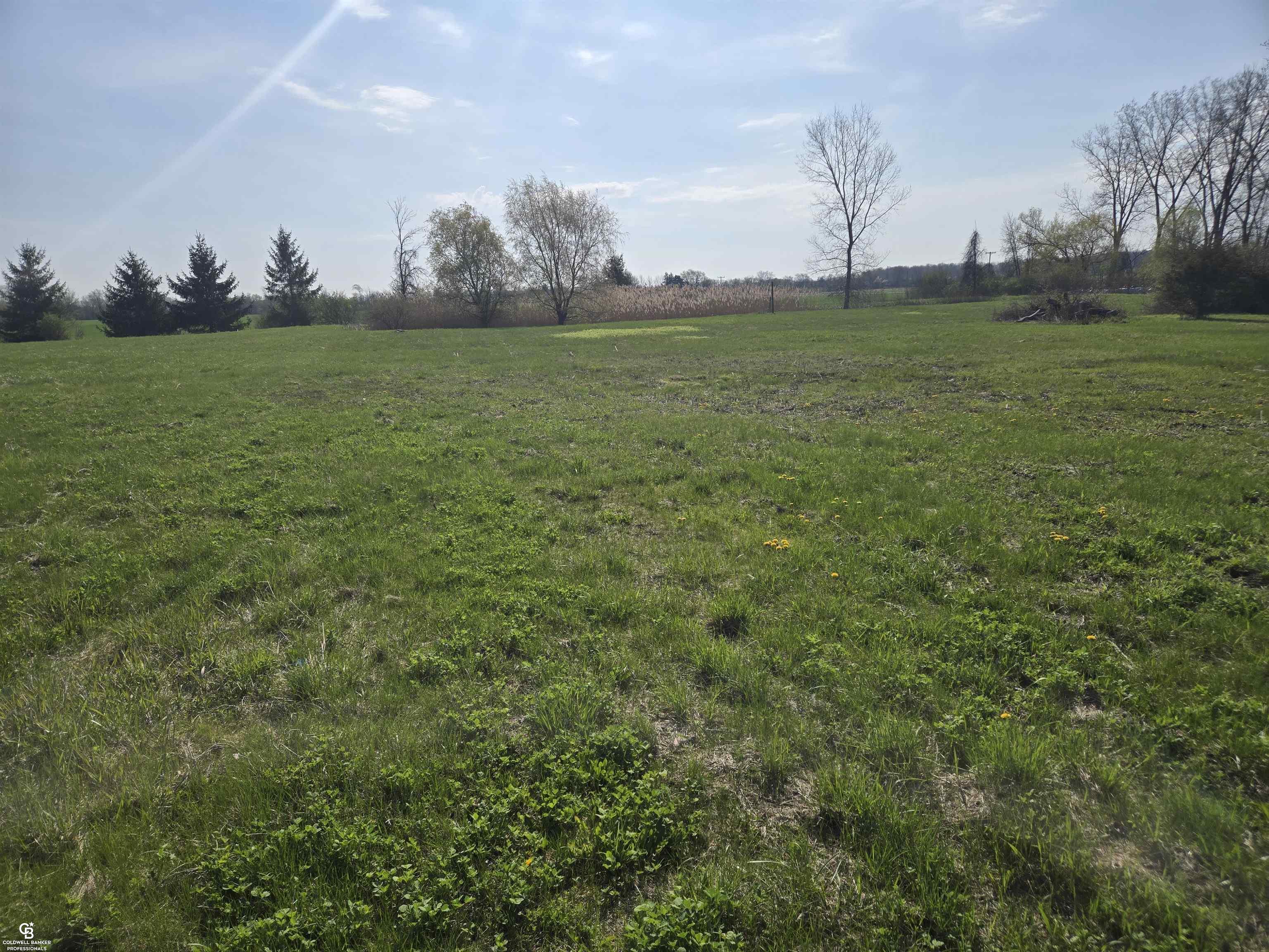 0 Brockway Vl Road Yale, MI 48097 - Photo 5 of 13