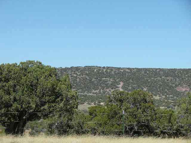 4444 Bunkhouse Road Snowflake, AZ 85937 - Photo 2 of 4