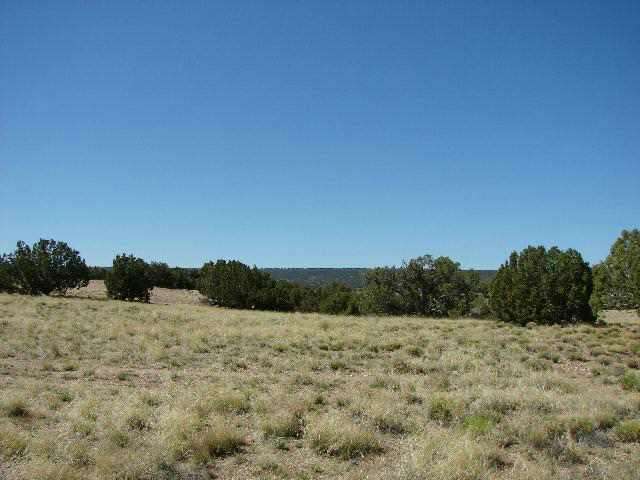 4444 Bunkhouse Road Snowflake, AZ 85937 - Photo 3 of 4