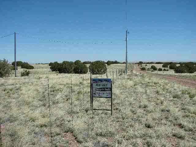 4444 Bunkhouse Road Snowflake, AZ 85937 - Photo 4 of 4