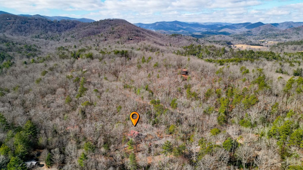57 Mangum's Trail Blue Ridge, GA 30513 - Photo 66 of 66 a view of a field