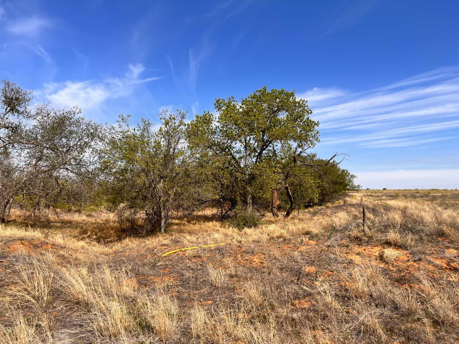 0 County Road 232 Post, TX 79356 - Photo 9 of 13 Photo 9