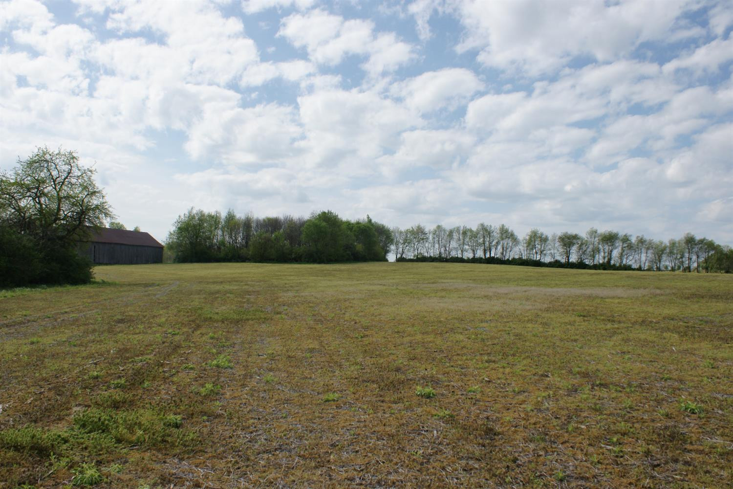 1500 Clifton Road Versailles, KY 40383 - Photo 1 of 2 Photo 1