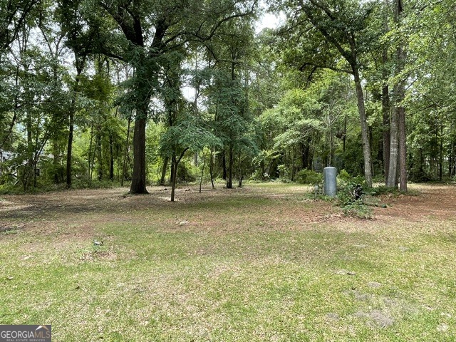 1465 Webb Circle Metter, GA 30439 - Photo 27 of 29