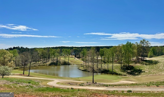 106 Equestrian Drive Forsyth, GA 31029 - Photo 36 of 52