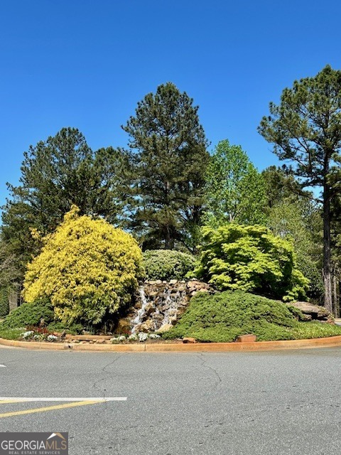 106 Equestrian Drive Forsyth, GA 31029 - Photo 43 of 52