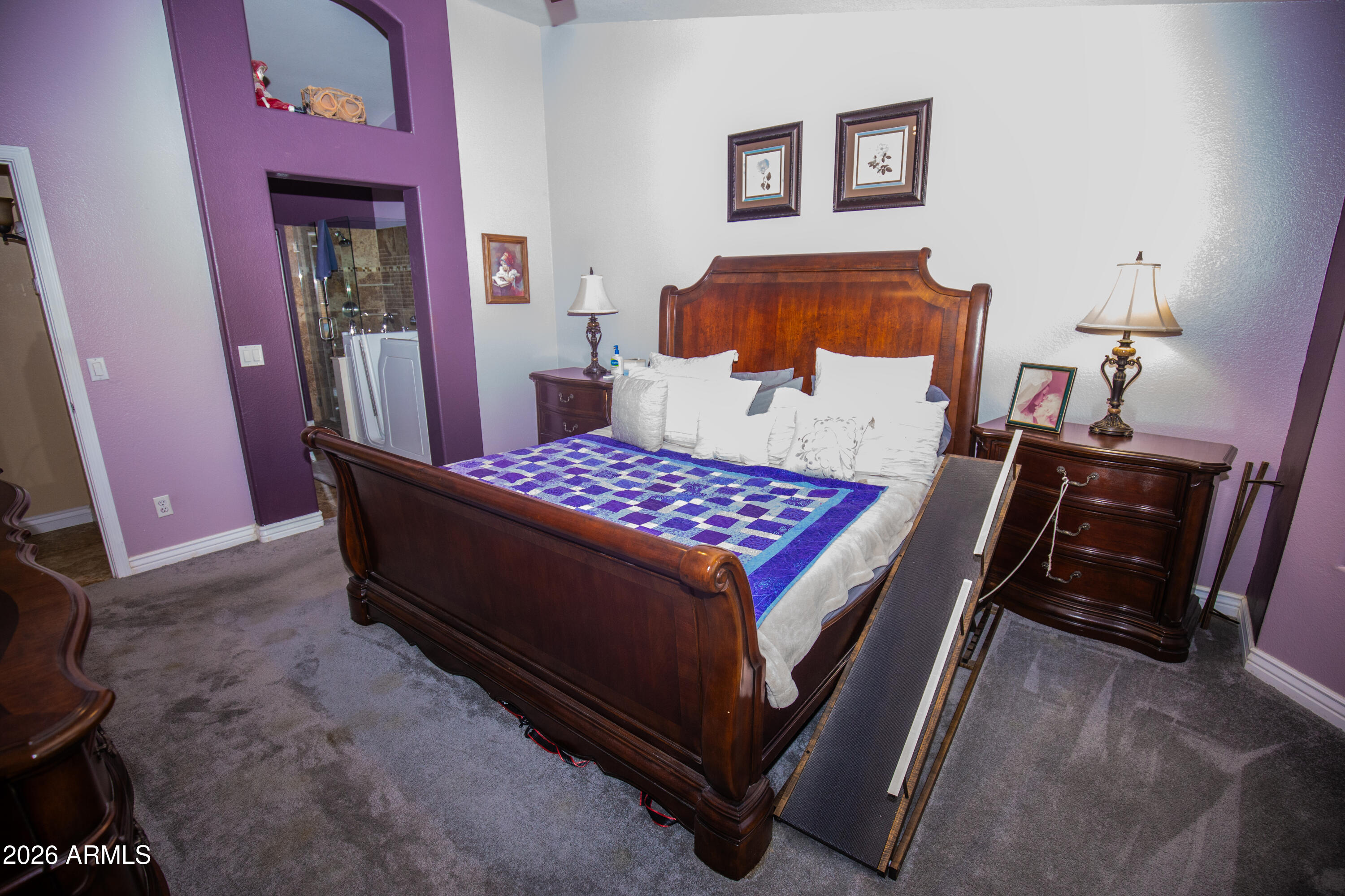 702 West Mesquite Street Gilbert, AZ 85233 - Photo 15 of 29 Bath Entry