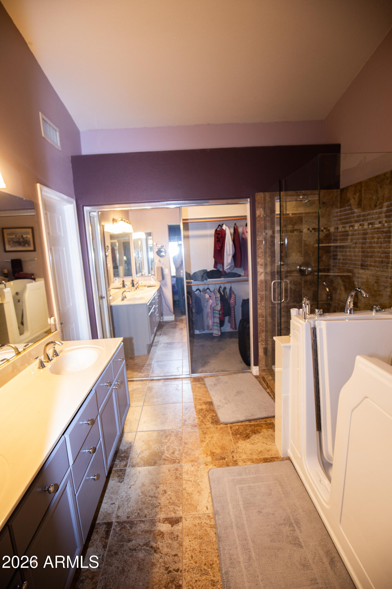 702 West Mesquite Street Gilbert, AZ 85233 - Photo 17 of 29 Walkin Closet