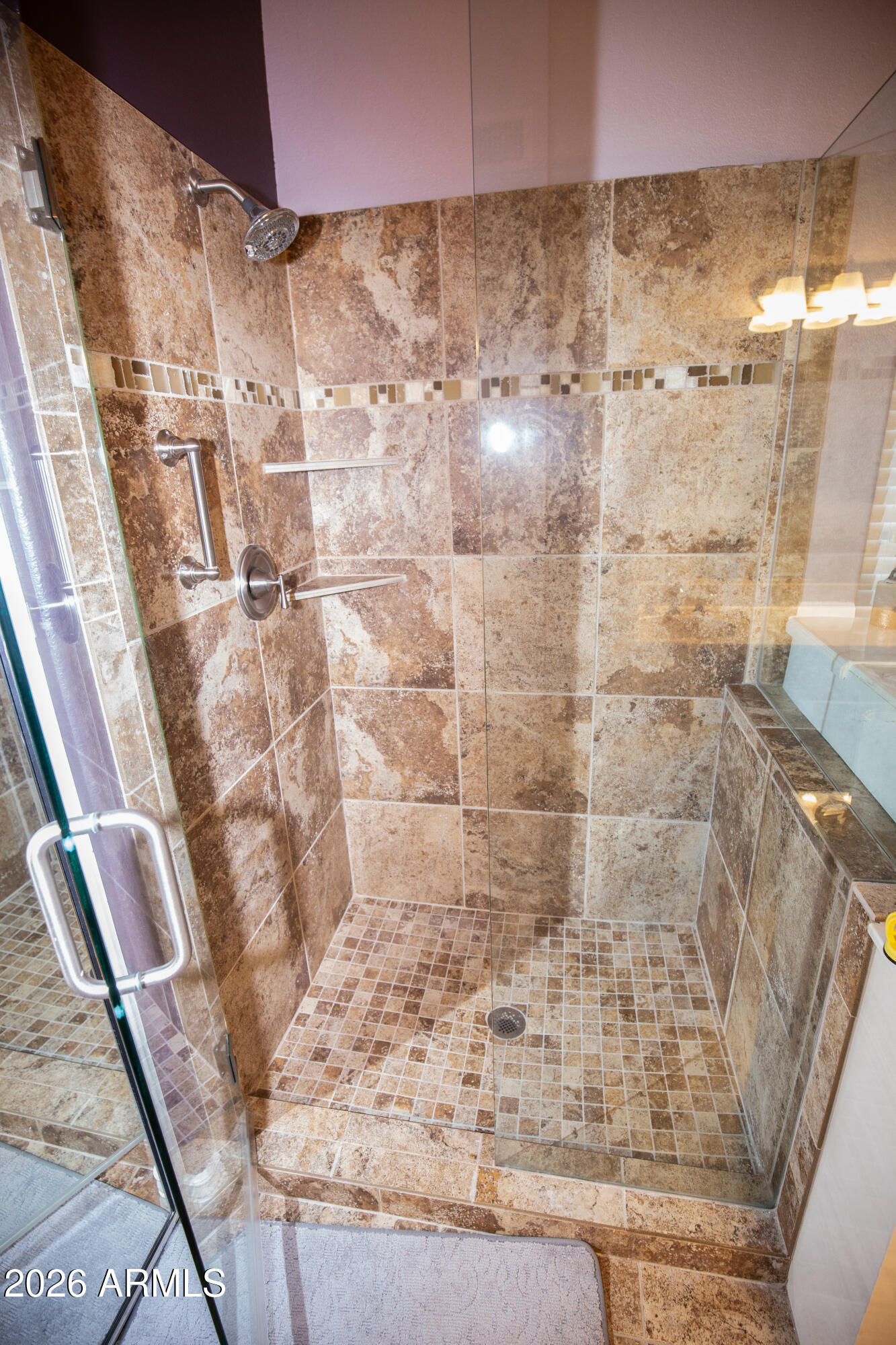 702 West Mesquite Street Gilbert, AZ 85233 - Photo 18 of 29 Walkin Shower