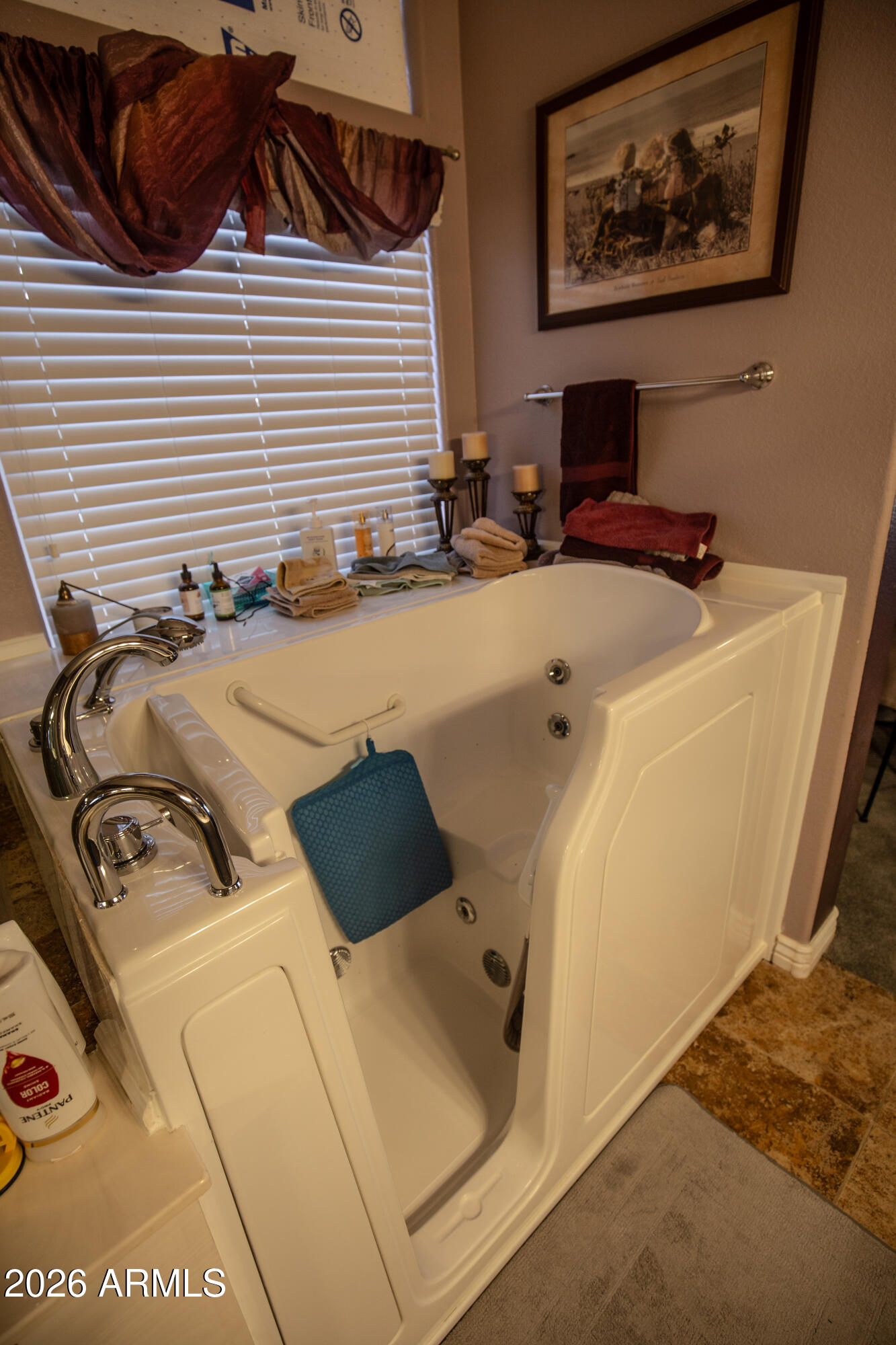 702 West Mesquite Street Gilbert, AZ 85233 - Photo 19 of 29 Walkin Spa Tub