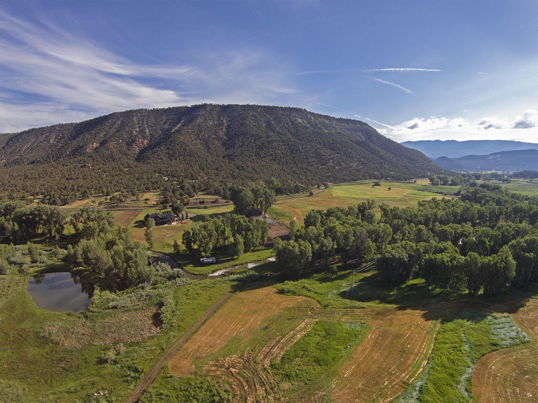 771 Cnty Road Ridgway, CO 81432 - Photo 52 of 68 Over the Garden Area