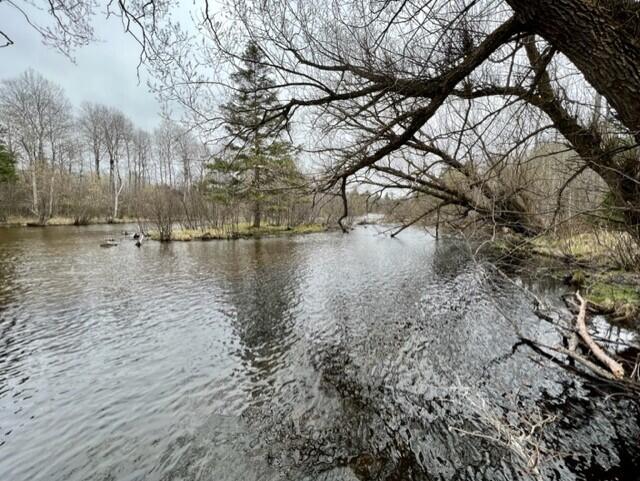 9222 Twin Bridge Road Grayling, MI 49738 - Photo 3 of 39 Gallery Image 3