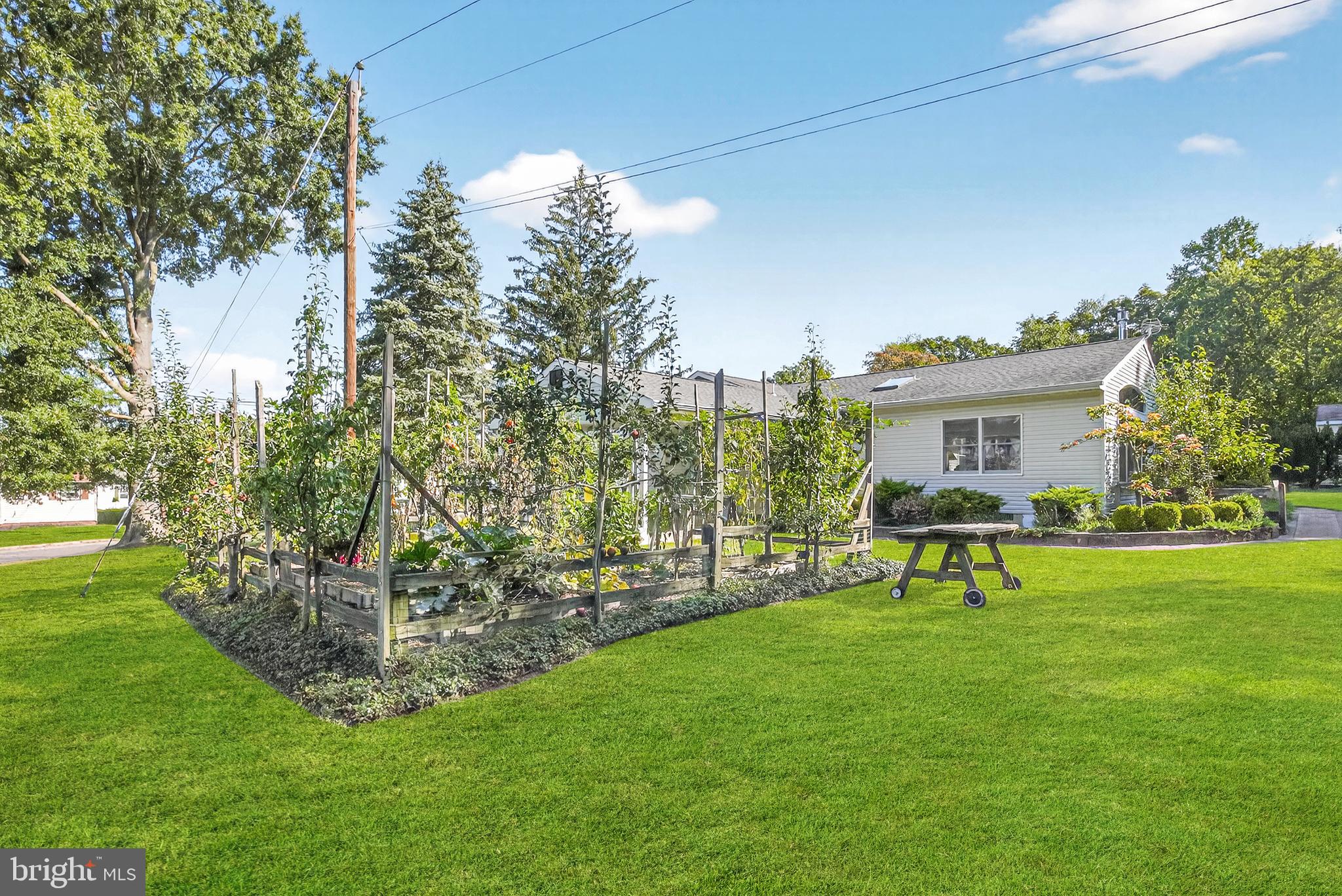 21 Mill Road Burlington, NJ 08016 - Photo 31 of 32 Large yard; vegetable garden w/apple & pear trees